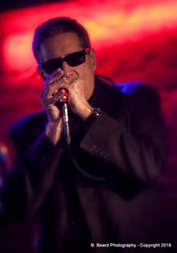 Mark Wainberg Blues Harmonica